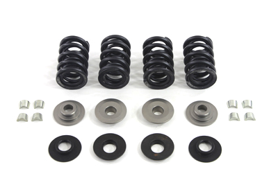 Thermo Cool 1984-2004 Big Twins Valve Spring Kit - Click Image to Close
